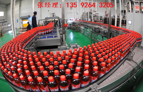 全套瓶裝茶飲料生產(chǎn)線(xiàn)設(shè)備價(jià)格|涼茶飲料生產(chǎn)加工設(shè)備